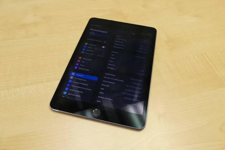 Apple - iPad mini 4 - 32 GB